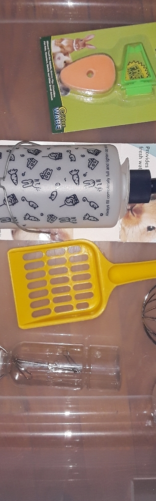 Bunny rabbit supplies